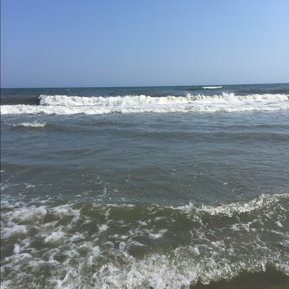 Meet your Posher, Morgan - Picture 1 of 1